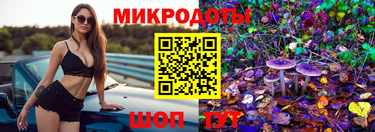Галлюциногенные грибы Cubensis Павловский Посад